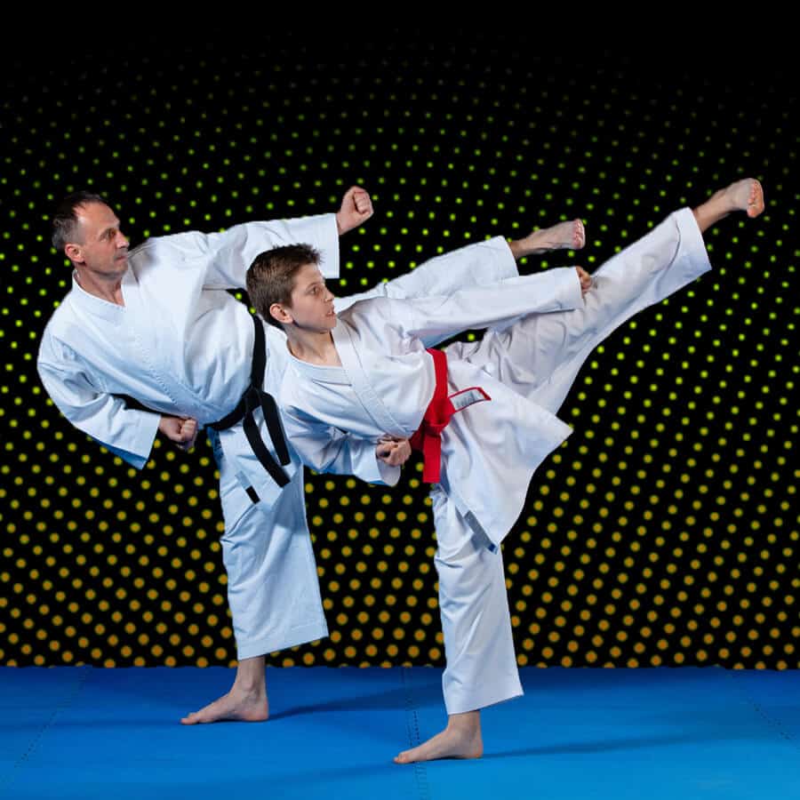Martial Arts Lessons for Families in Springfield VA - Dad and Son High Kick