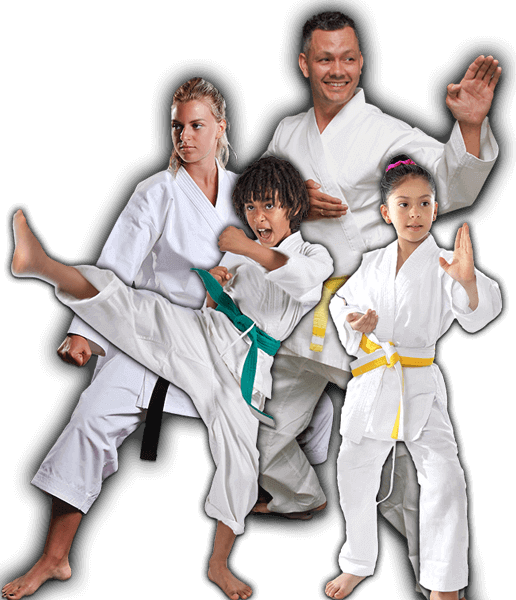 Martial Arts Lessons for Families in Springfield VA - Green Belt Kid Adult Group Banner