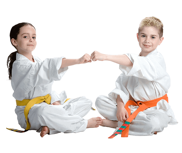 Martial Arts Lessons for Kids in Springfield VA - Kids Greeting Happy Footer Banner