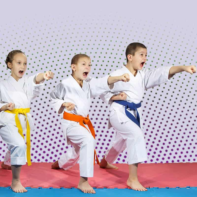 Martial Arts Lessons for Kids in Springfield VA - Punching Focus Kids Sync