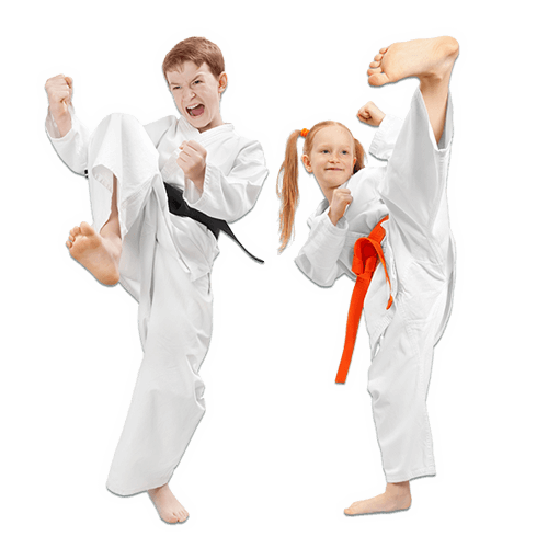 Martial Arts Lessons for Kids in Springfield VA - Kicks High Kicking Together